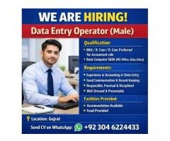 Data Entry Operator / Accountant Jobs