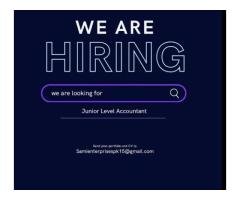 unior Accounts Person Required