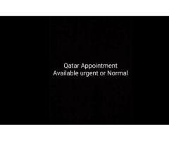 Qatar Appointment Assistance Available