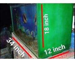 Fiber Glass Aquarium Fish Tank for Sale