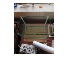 Small Fish Tank for Beginners