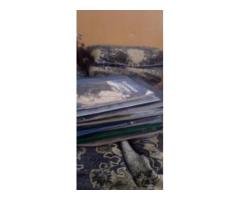 APS Class 7 Complete Books Set