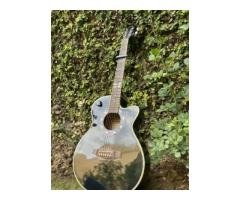 Well-Maintained Used Guitar with Accessories