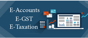 Screenshot-Accounting-Delhi-short