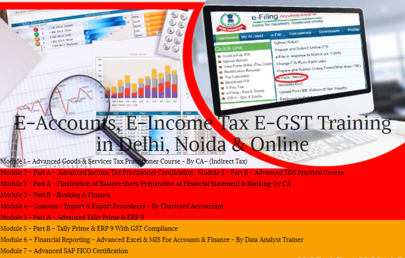 E-Accounting Course in Delhi, 110034, SAP FICO Course in Noida । BAT Course by