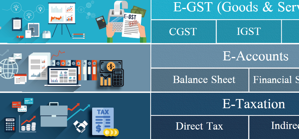 Best GST Training in Delhi, SLA Institute, SAP, BAT Classes, GST Practitioner