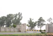 3 Marla Hot Location Plot Al-Ghani Garden