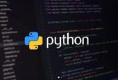 Learn Python Programming , Zero to Hero (One-on-One via Google Meet)
