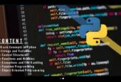 Learn Python Programming , Zero to Hero (One-on-One via Google Meet)